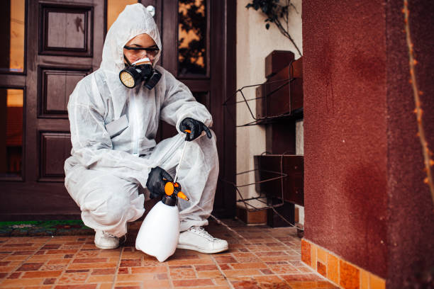 Reliable Cockroach Control contractor in Pagedale, MO by Nex Pest Control